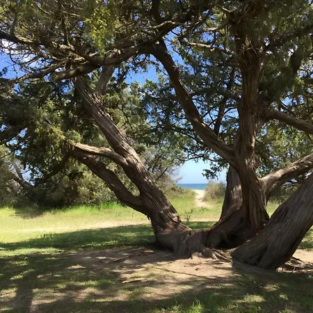 I Tre Taglincchi, U Sicondu - Proche Mer, Clim, Wifi, Parking Gratuit * Taglio-Isolaccio