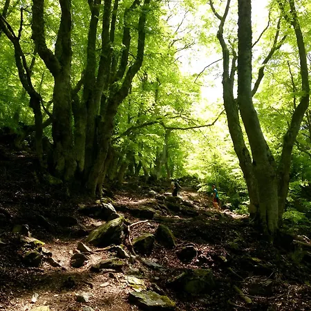 Apartment I Tre Taglincchi, U Sicondu - Proche Mer, Clim, Wifi, Parking Gratuit *