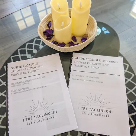 I Tre Taglincchi, U Sicondu - Proche Mer, Clim, Wifi, Parking Gratuit