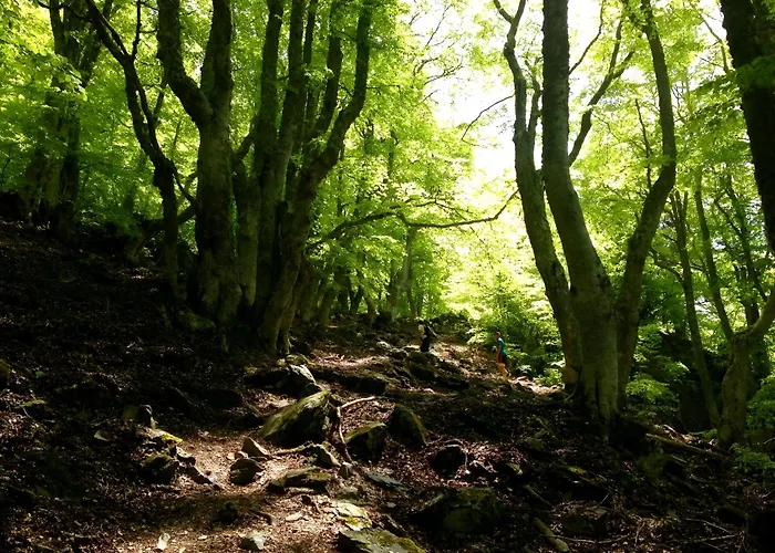 Apartment I Tre Taglincchi, U Sicondu - Proche Mer, Clim, Wifi, Parking Gratuit *