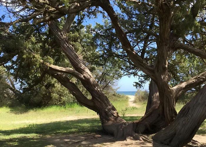 I Tre Taglincchi, U Sicondu - Proche Mer, Clim, Wifi, Parking Gratuit * Taglio-Isolaccio